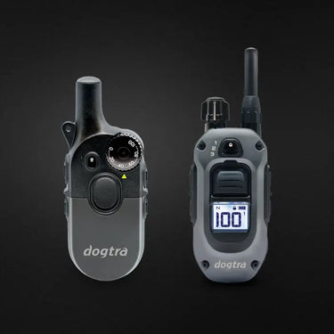Dogtra 200iQ vs 280X: Which E-Collar Should You Buy?