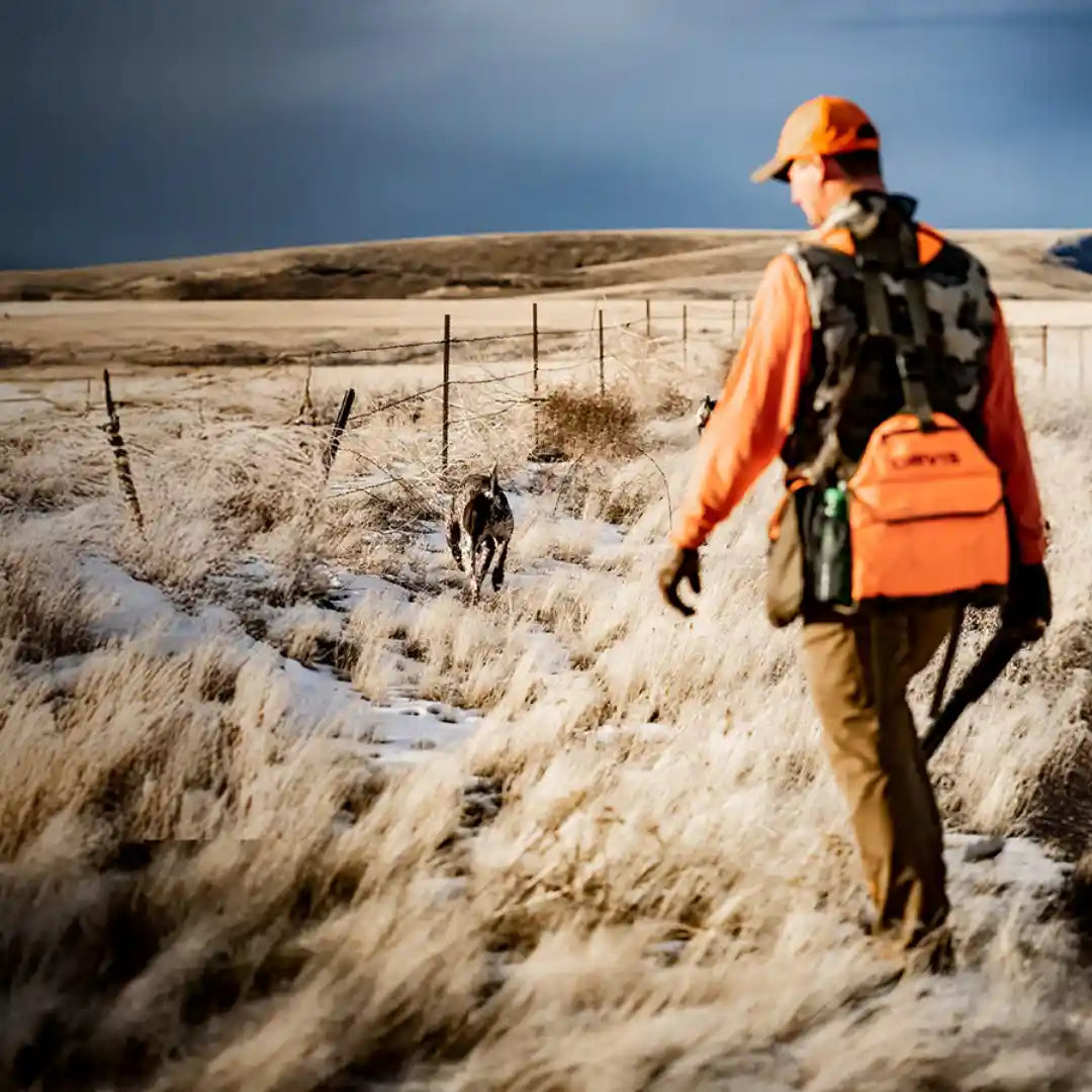 Does the Dogtra PATHFINDER2 Require a Subscription?