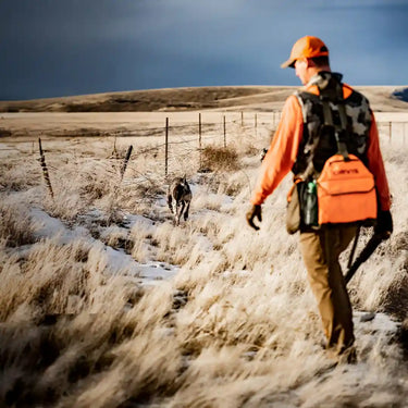 Does the Dogtra PATHFINDER2 Require a Subscription?