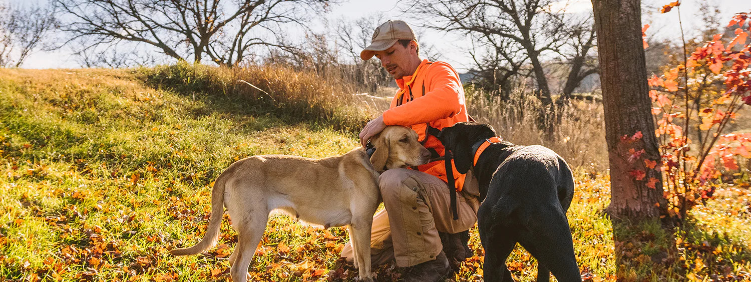 Upland Dog Collars Dogtra