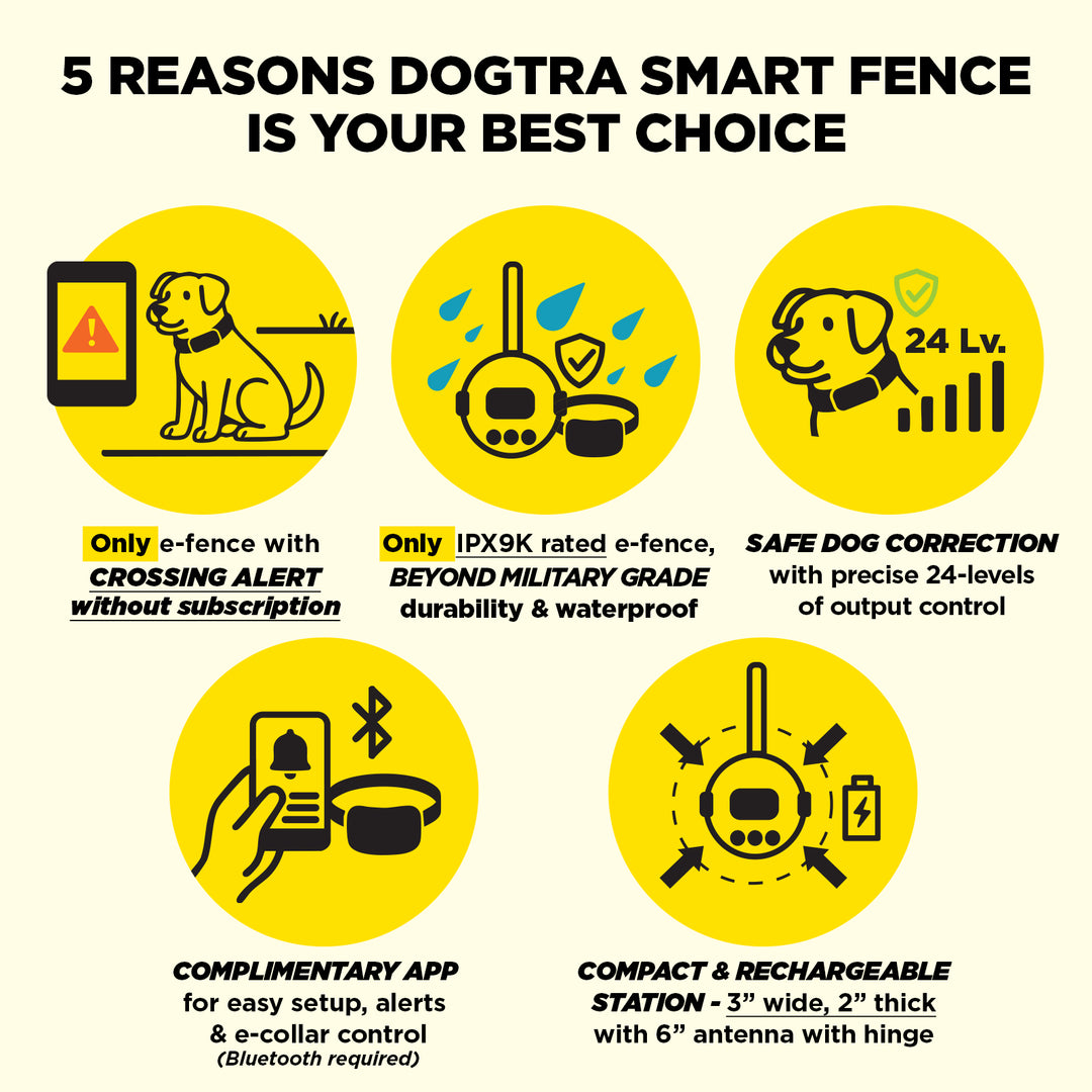 DOGTRA SMART FENCE + ADDITIONAL RECEIVER