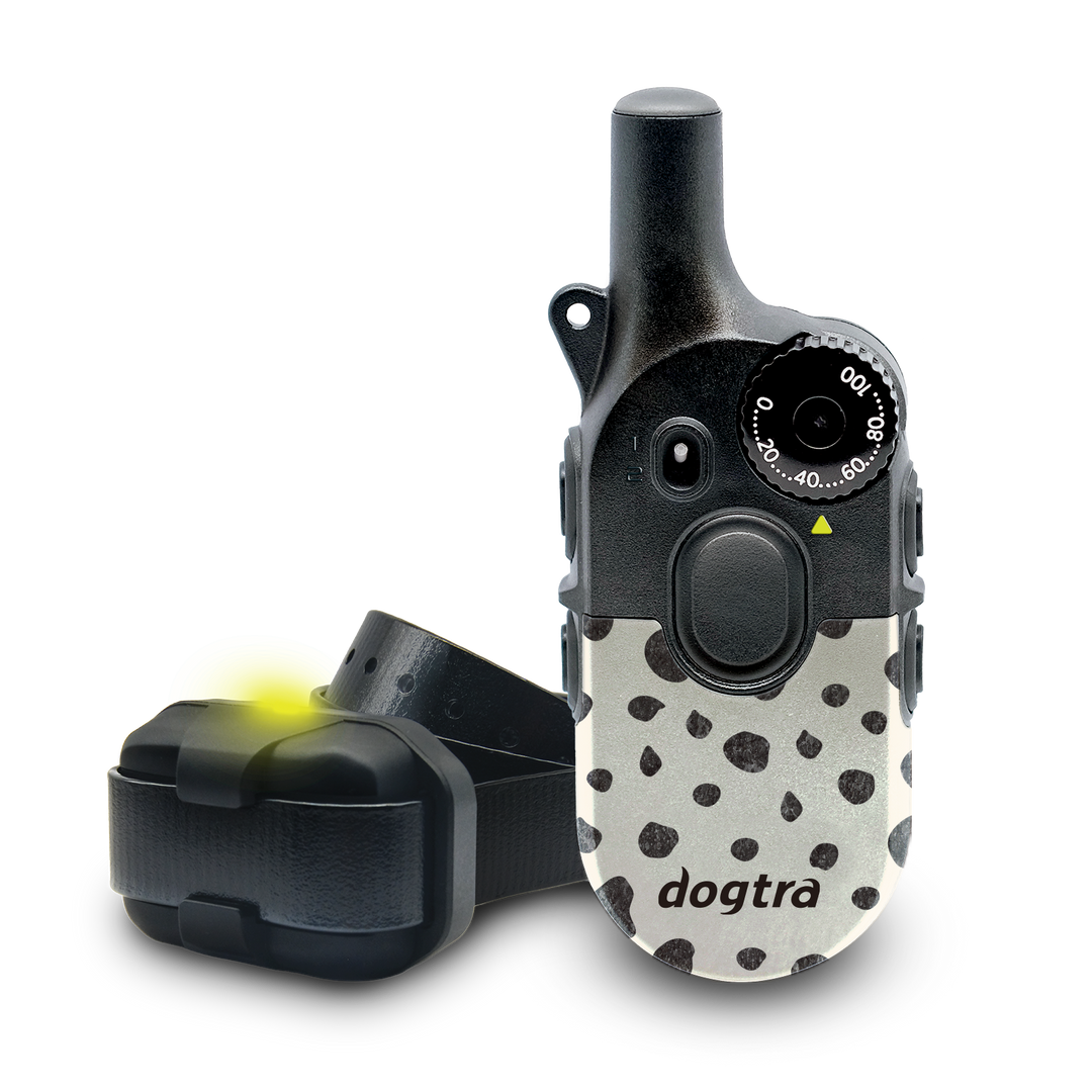 200iQ MODERN DOTS