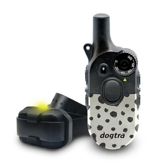 200iQ MODERN DOTS