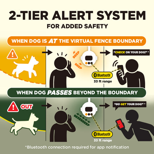 DOGTRA SMART FENCE + ADDITIONAL RECEIVER