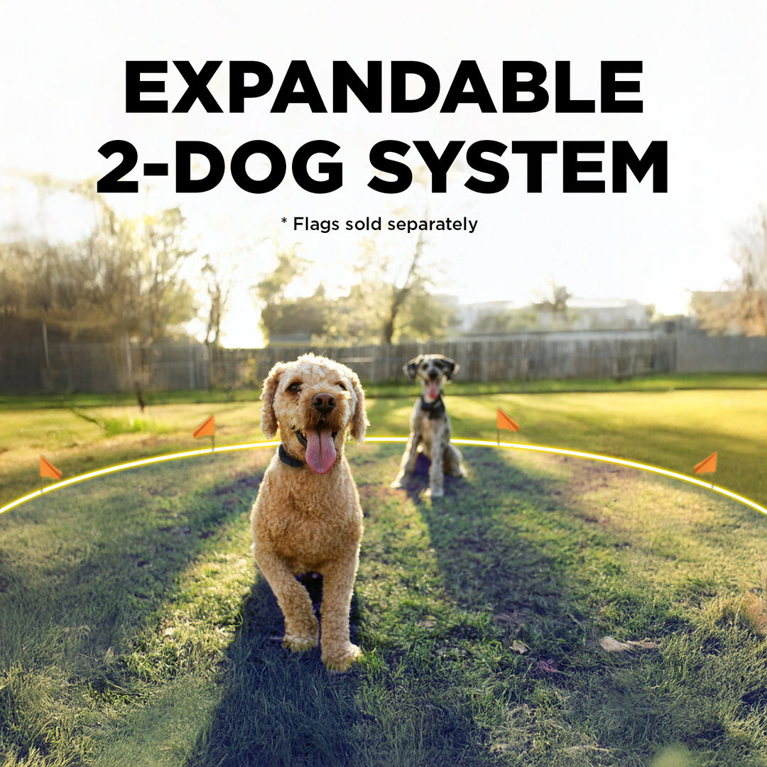 DOGTRA SMART FENCE + ADDITIONAL RECEIVER