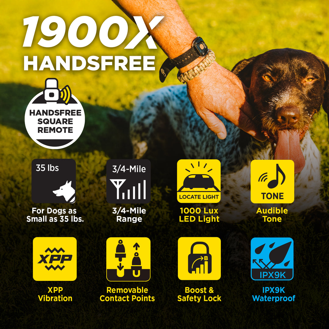 1900X HANDSFREE 1-DOG UNIT