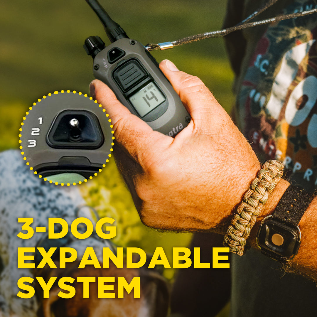 1900X HANDSFREE 1-DOG UNIT