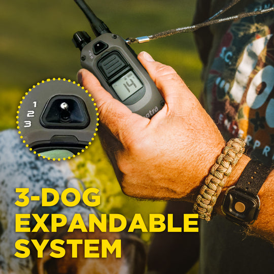 1900X HANDSFREE 1-DOG UNIT