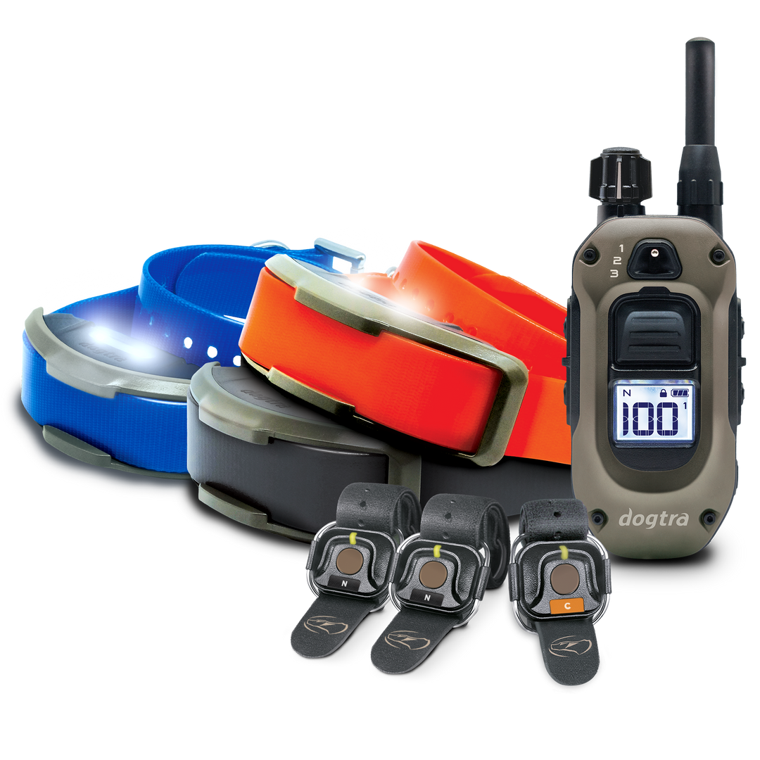 1900X 2-DOG UNIT + 1900X ADDITIONAL RECEIVER + (3) HANDSFREE SQUARES