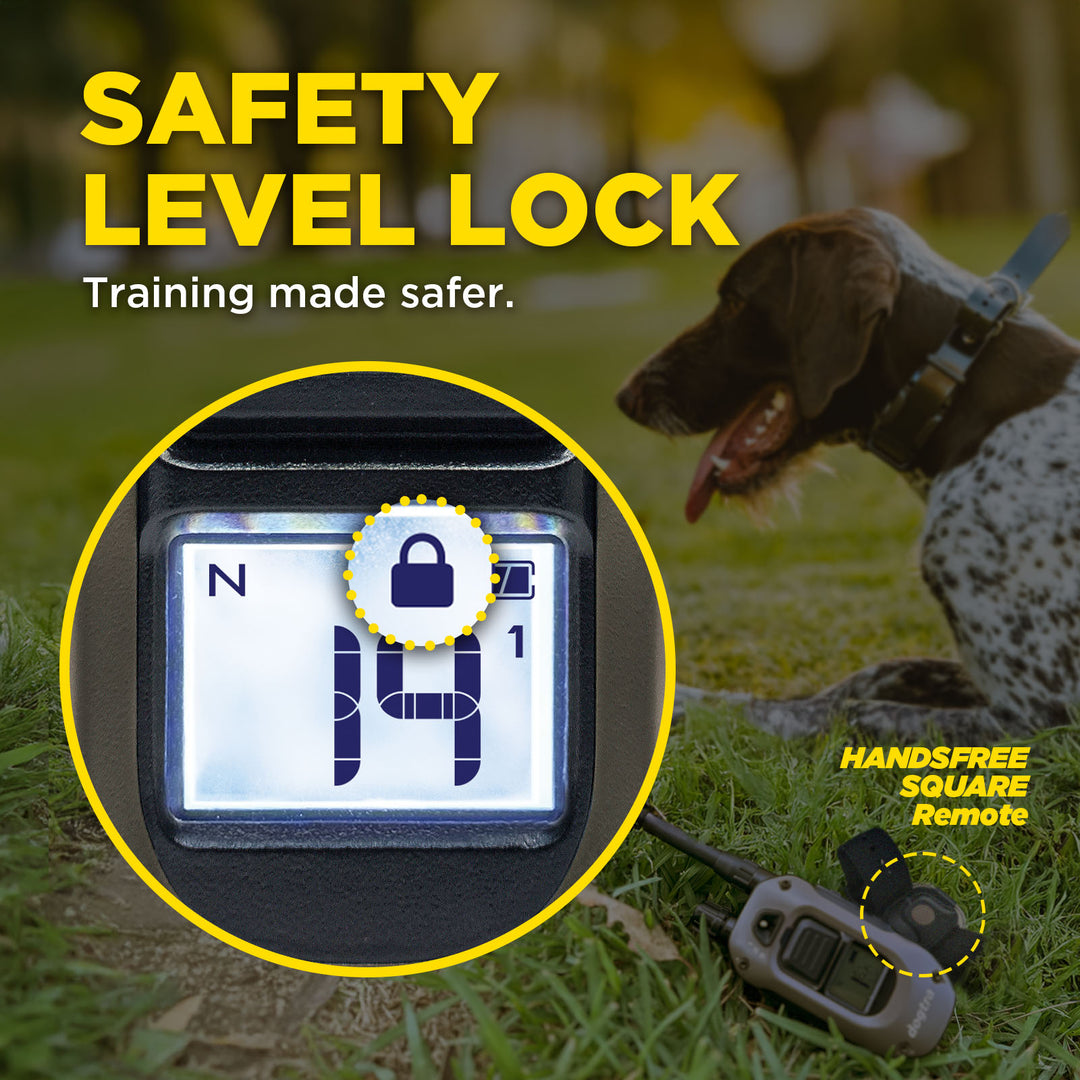 1900X HANDSFREE 1-DOG UNIT