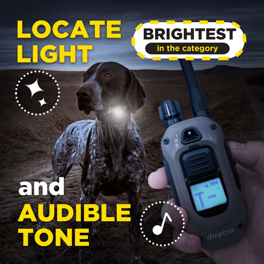 1900X HANDSFREE 1-DOG UNIT