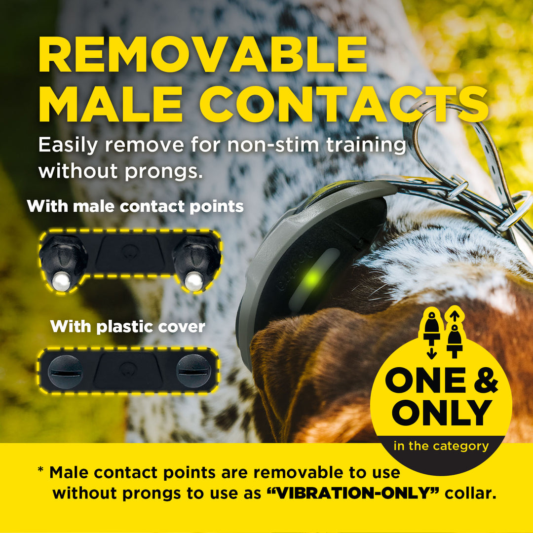 1900X HANDSFREE 1-DOG UNIT