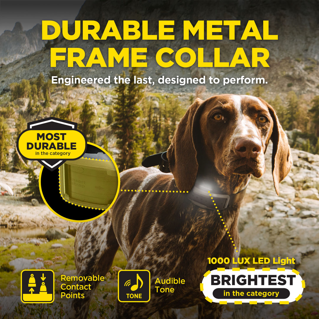 1900X HANDSFREE 1-DOG UNIT