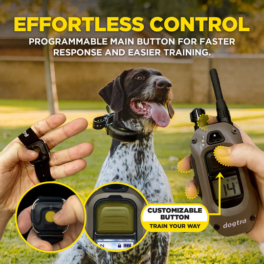 1900X HANDSFREE 1-DOG UNIT