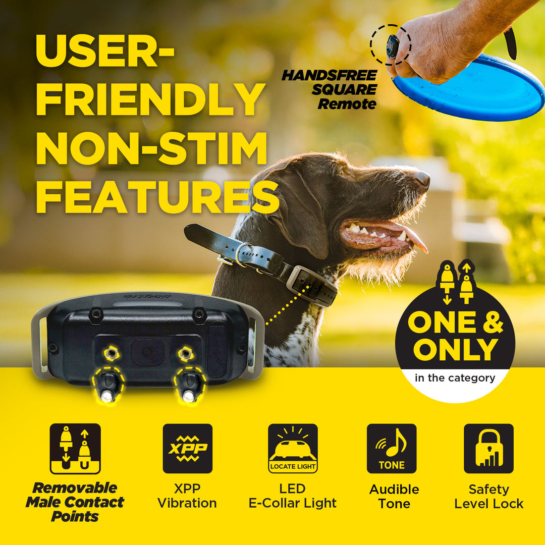 1900X HANDSFREE 1-DOG UNIT