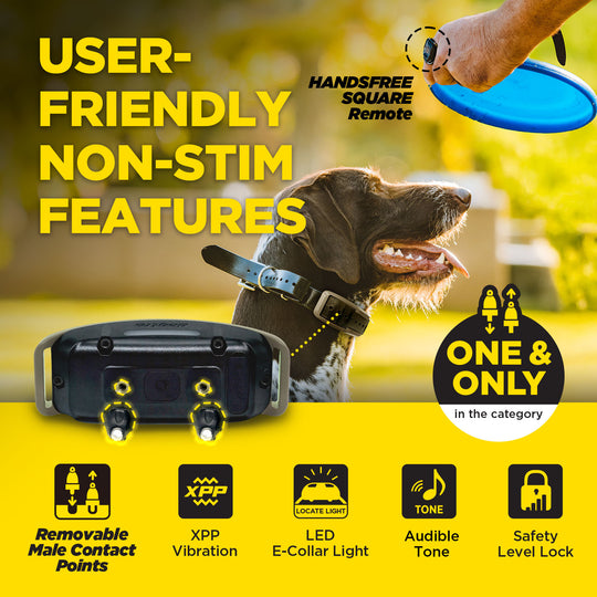 1900X HANDSFREE 1-DOG UNIT