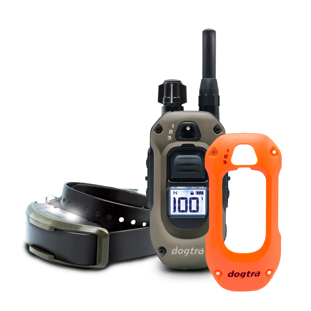 1900X 1-DOG UNIT + X-SHIELD - ORANGE