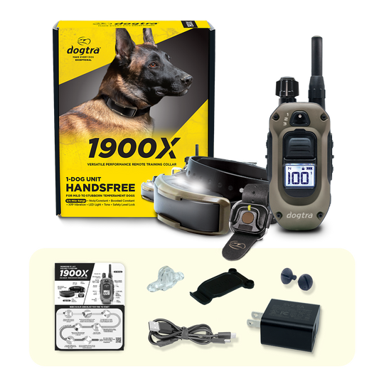 1900x-hf.png__PID:3610b05c-ed94-4926-9f85-2f9bde7fcea8