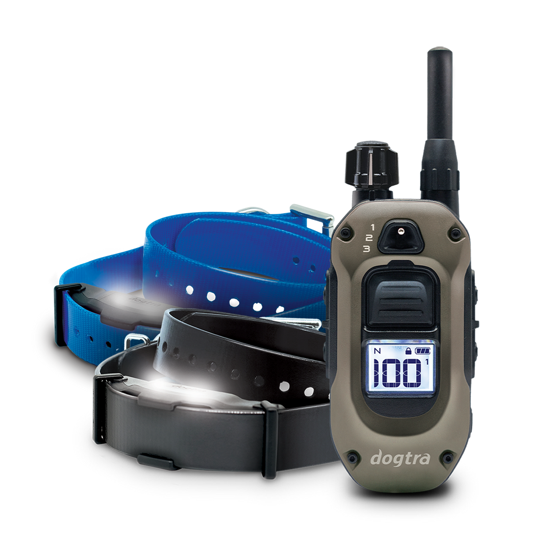 ARC-X 1-DOG UNIT + ADDITIONAL RECEIVER