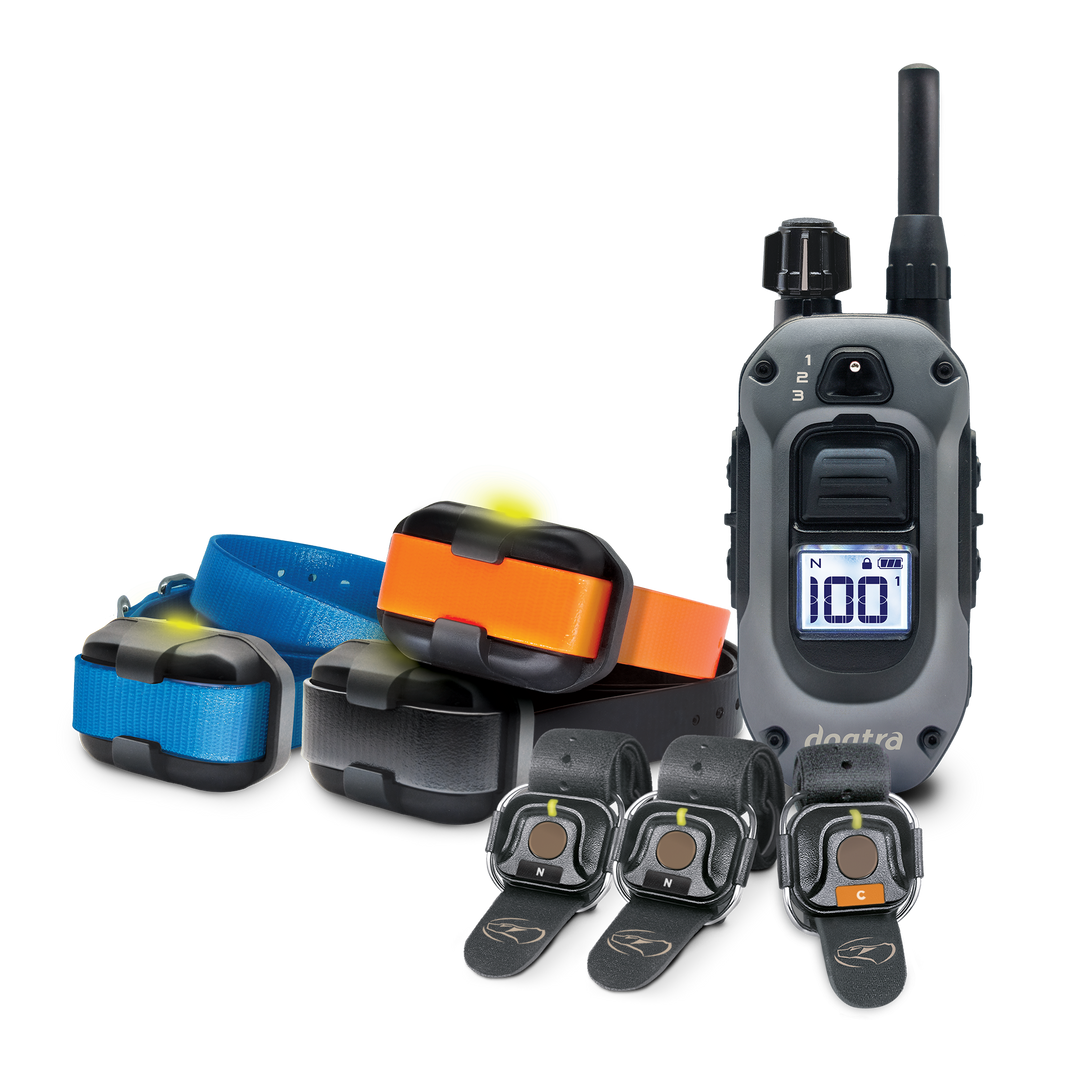 280X 2-DOG UNIT + ADDITIONAL RECEIVER + (3) HANDSFREE SQUARES
