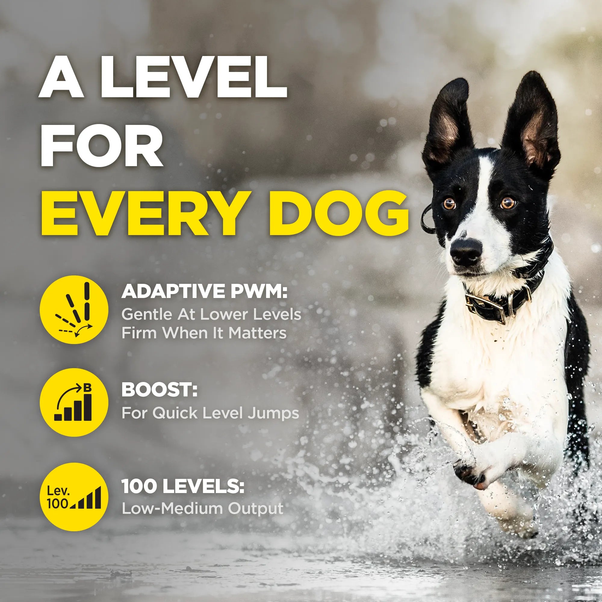 Promotional graphic for a dog training product with a black-and-white dog running through shallow water on the right and large text on the left reading 'A LEVEL FOR EVERY DOG' plus feature callouts about adaptive PWM, boost, and 100 levels.