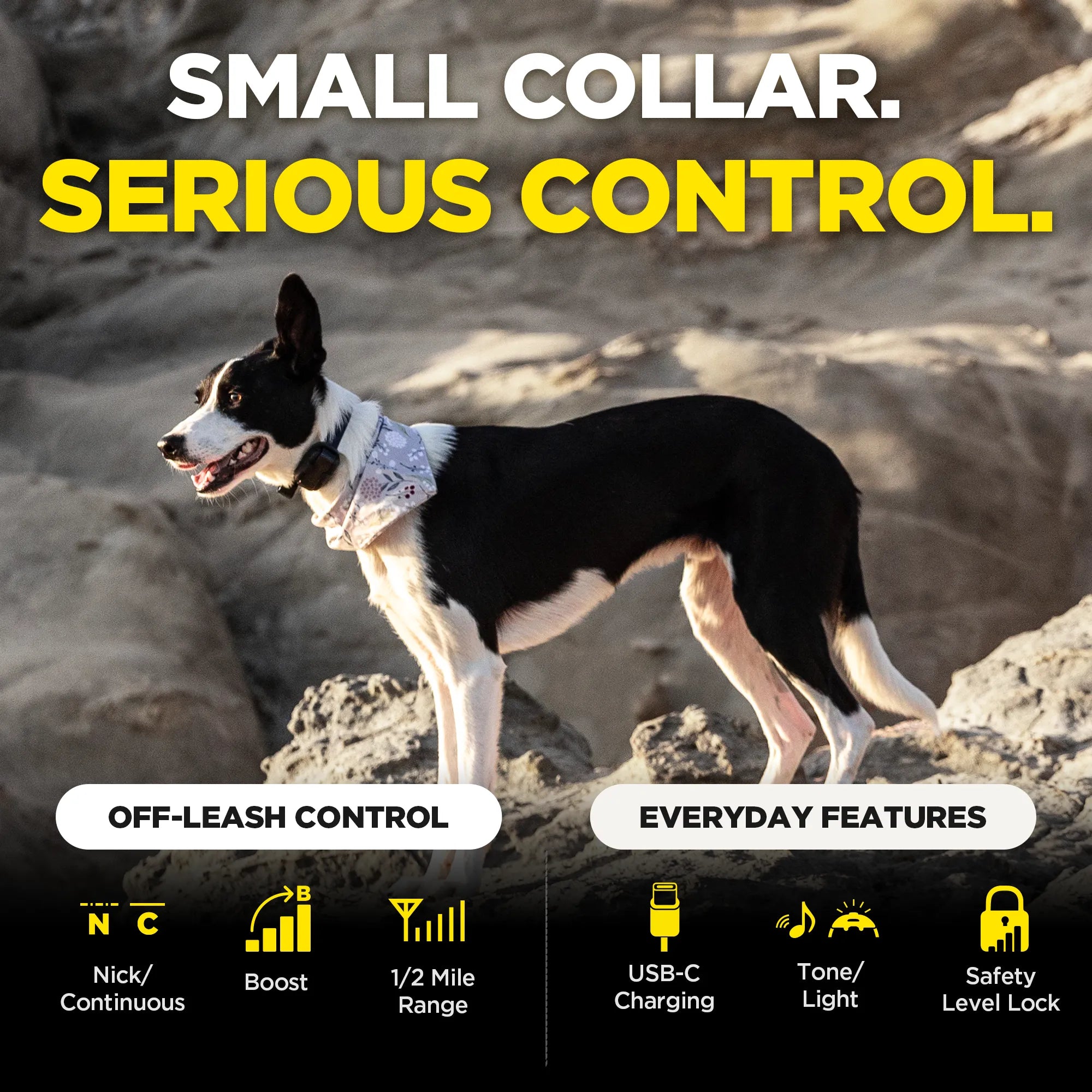 A black-and-white dog wearing a 280X receiver stands on rocky terrain outdoors, with large text reading 'SMALL COLLAR. SERIOUS CONTROL.