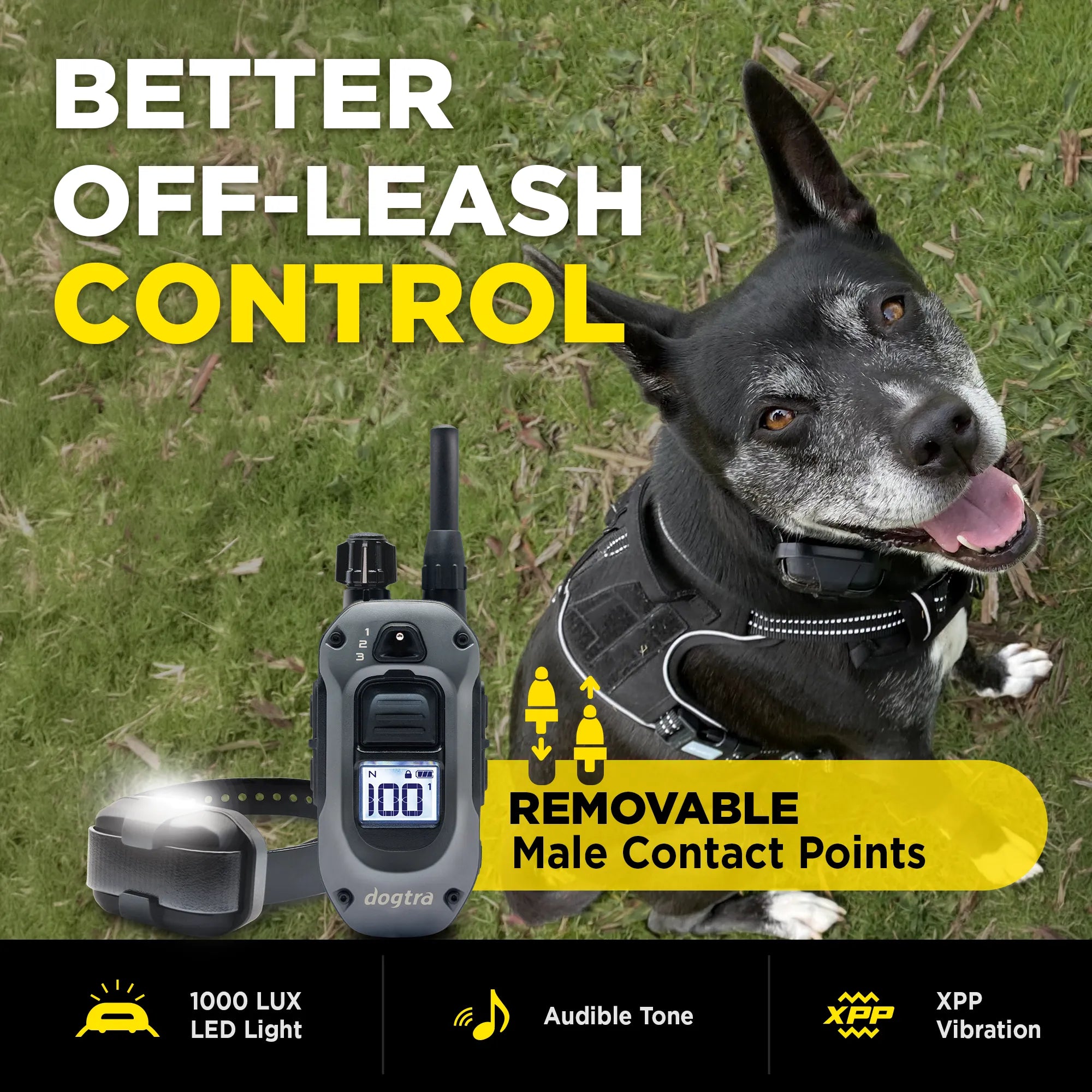 A dog leash control set shown with a black dog outdoors on grass. The product includes a gray remote transmitter, a black collar, and a small tracker device.