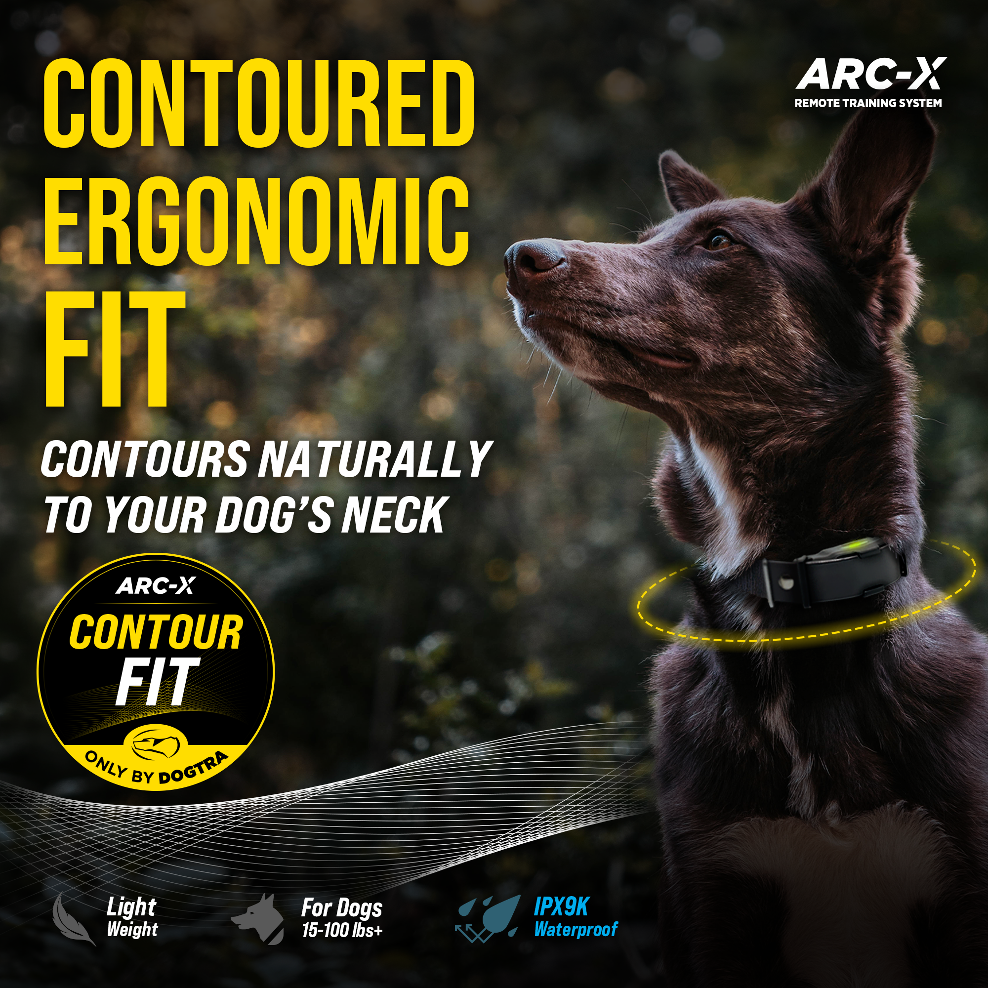 ARC-X 1-DOG UNIT