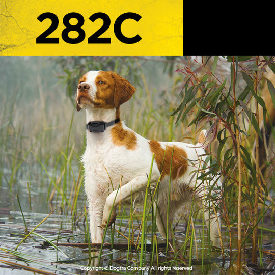 282C