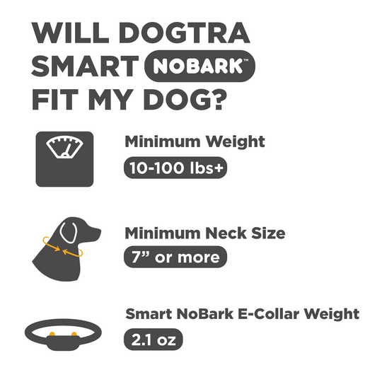 DOGTRA SMART NOBARK