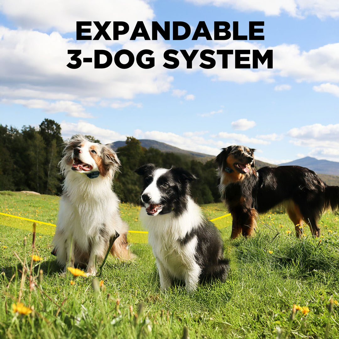 DOGTRA GPS FENCE