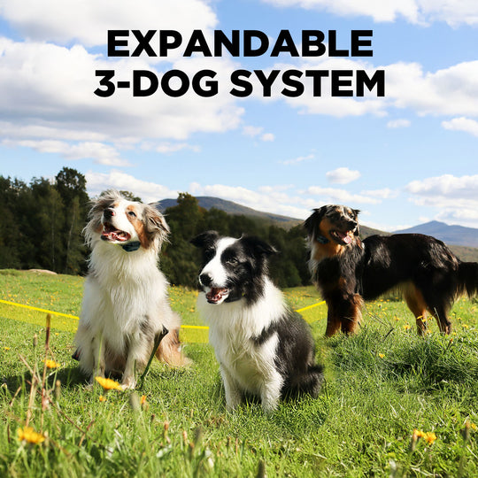 DOGTRA GPS FENCE