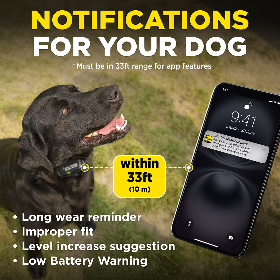 DOGTRA SMART NOBARK