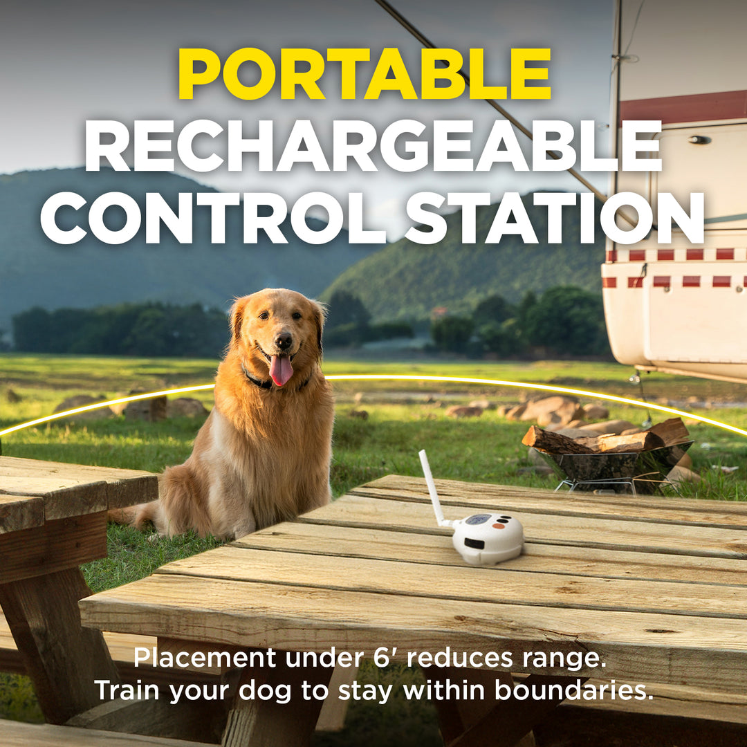 DOGTRA SMART FENCE + ADDITIONAL RECEIVER