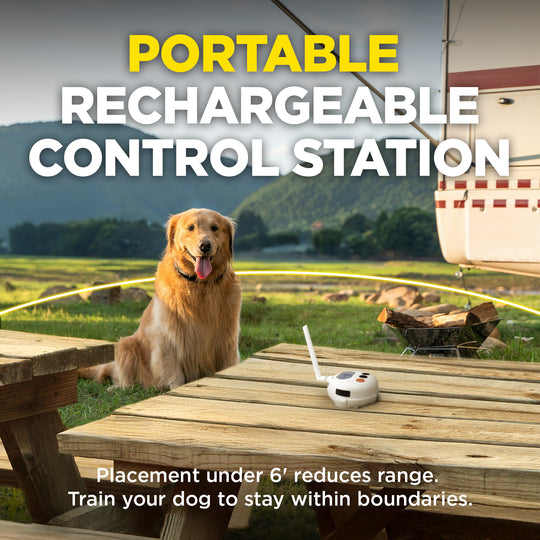 DOGTRA SMART FENCE + ADDITIONAL RECEIVER
