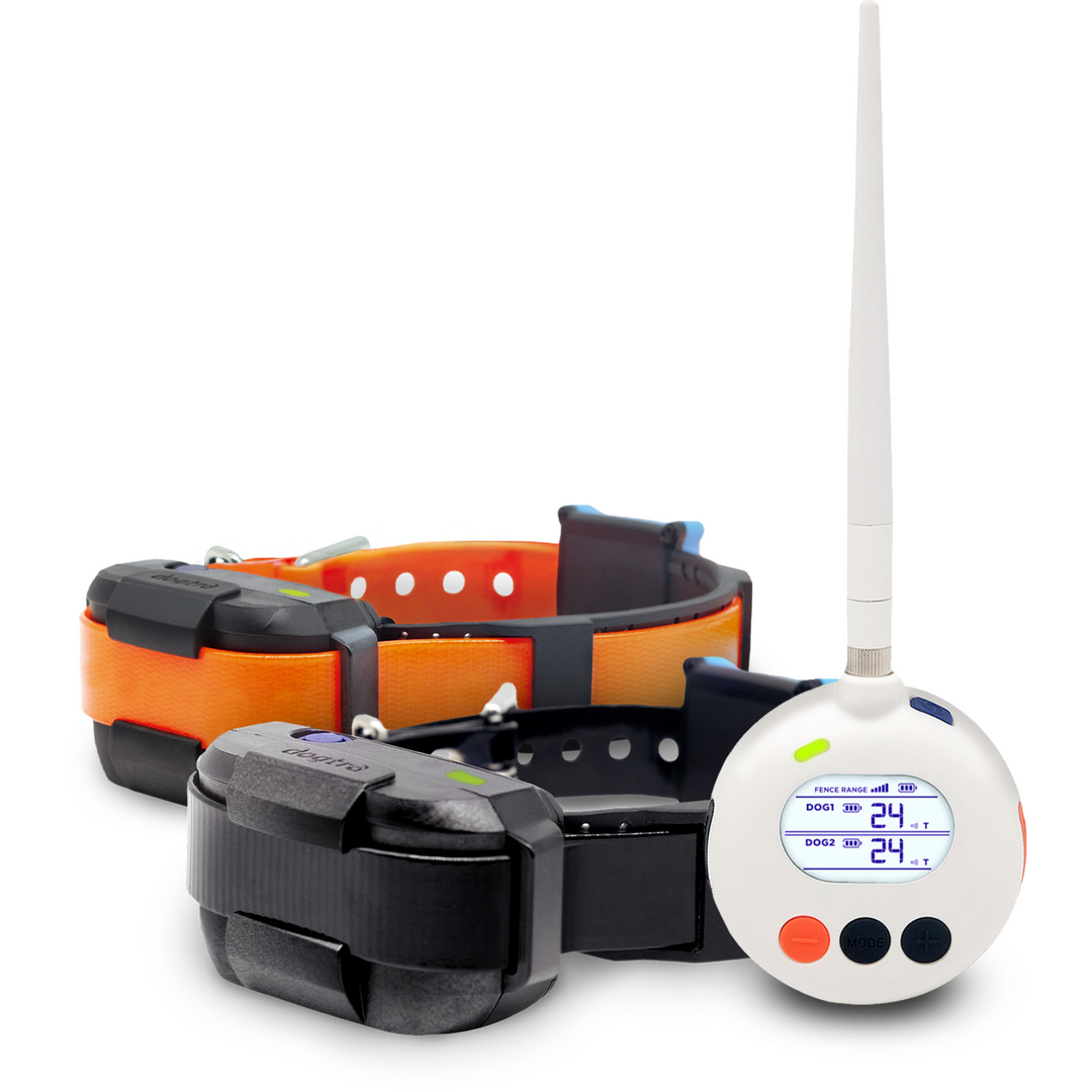 DOGTRA SMART FENCE + ADDITIONAL RECEIVER