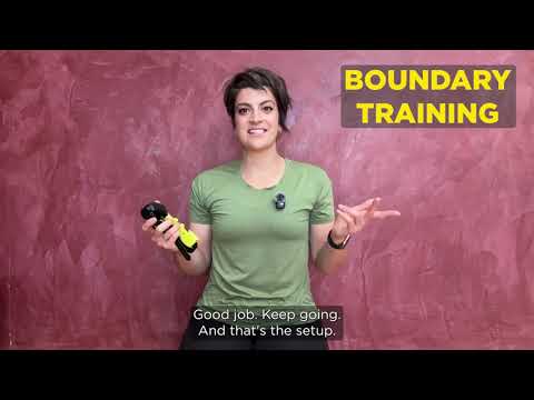 DOGTRA GPS FENCE