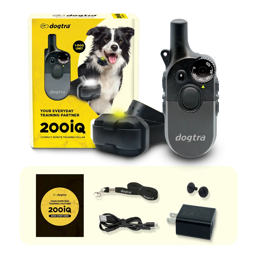 what's-in-box_basic.webp__PID:331e7b4a-5fc0-4733-a9db-5928eb79ce39