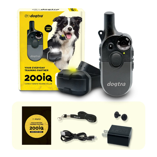 what's-in-box_basic.webp__PID:331e7b4a-5fc0-4733-a9db-5928eb79ce39