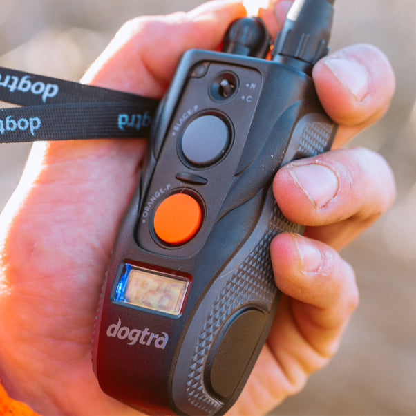 DOGTRA COLLAR NOT CHARGING BATTERY MAINTENANCE TIPS