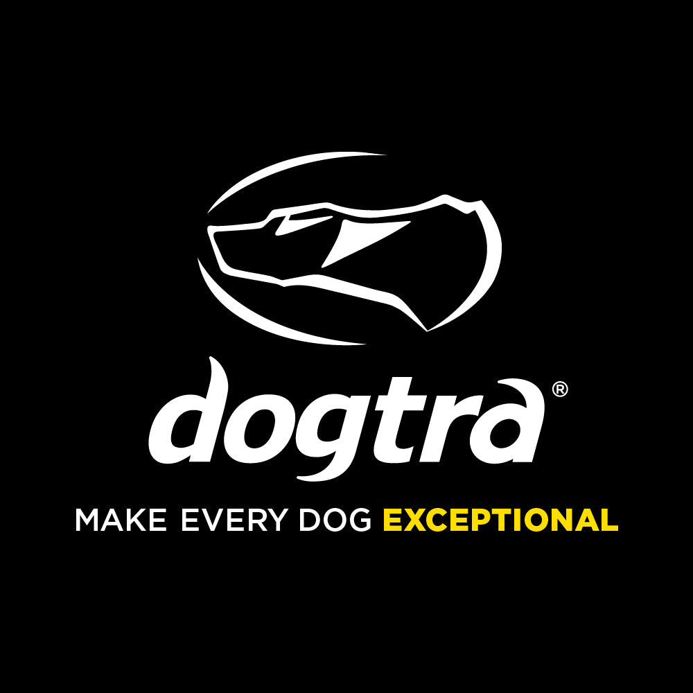 WHAT DOGTRA STANDS FOR