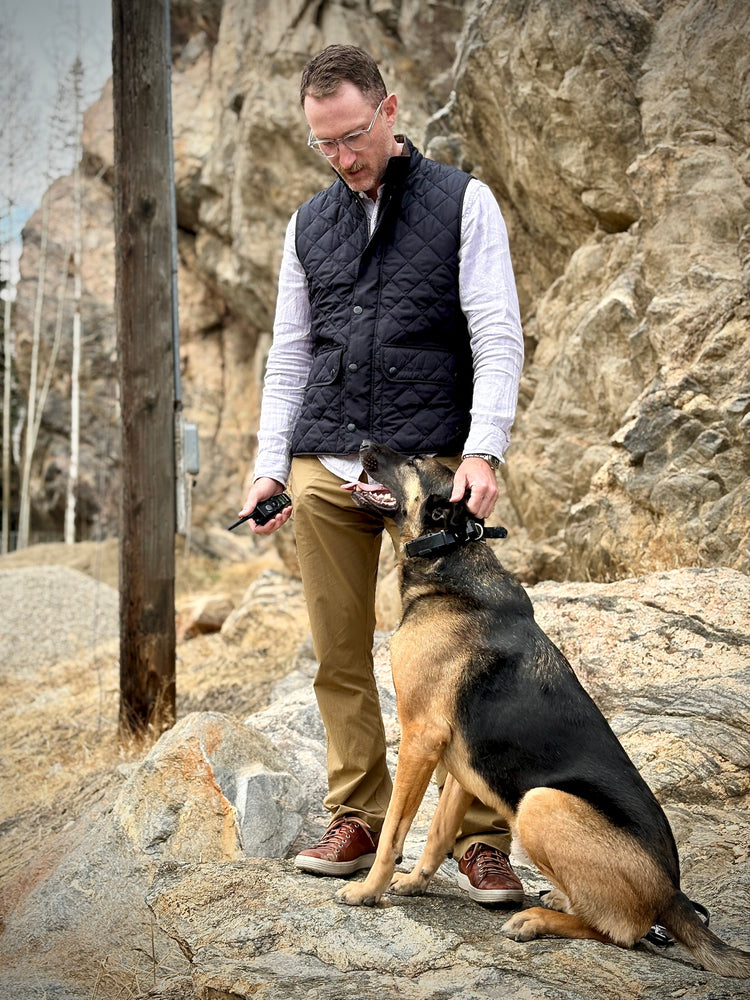 E-Collars: A Balanced Approach to Behavior Modification – Dogtra.com