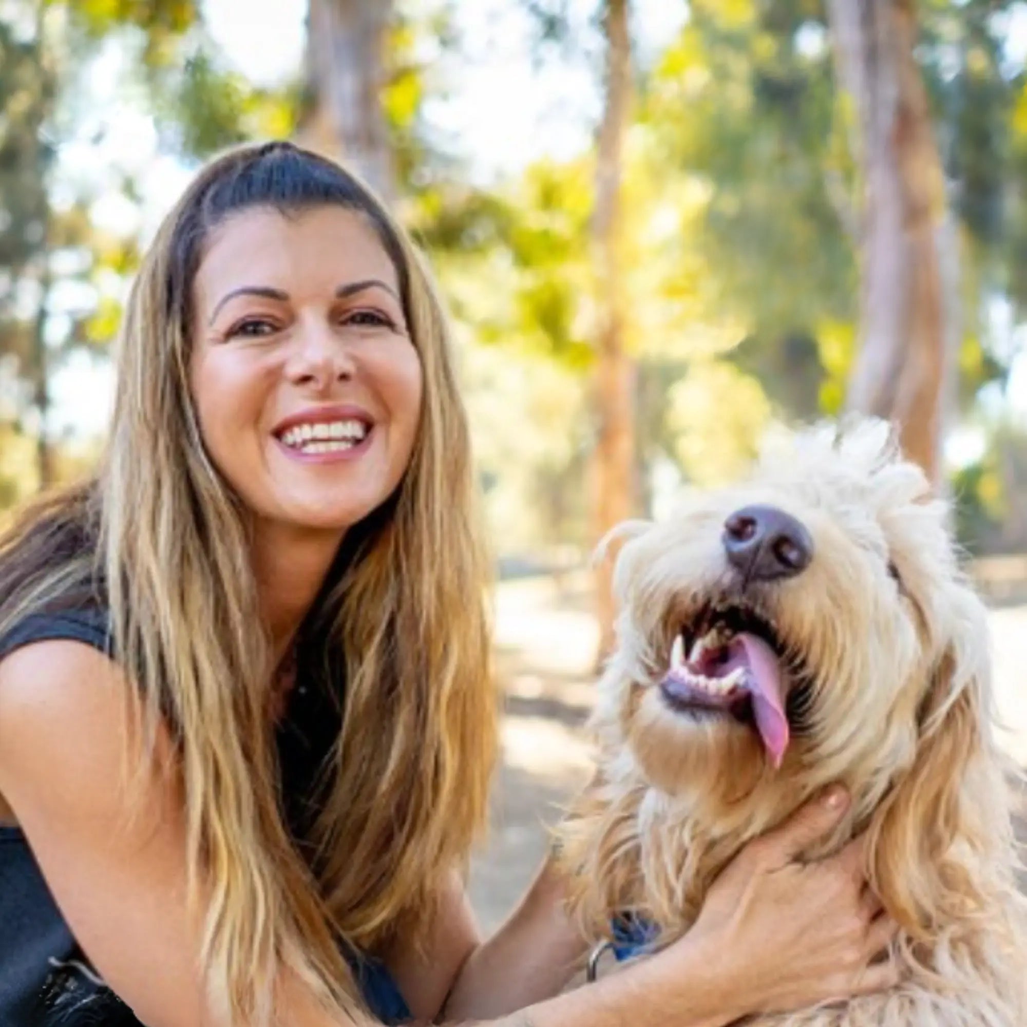 How to Start E-Collar Training: Beginner Guide by Colleen Steckloff