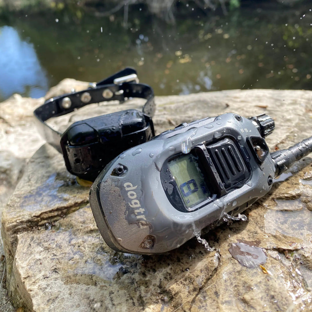 Top 5 Waterproof E-Collars from Dogtra