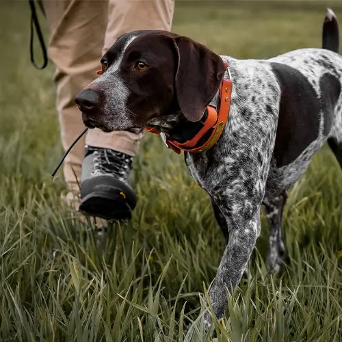Dogtra PATHFINDER2 vs. PATHFINDER2 Mini