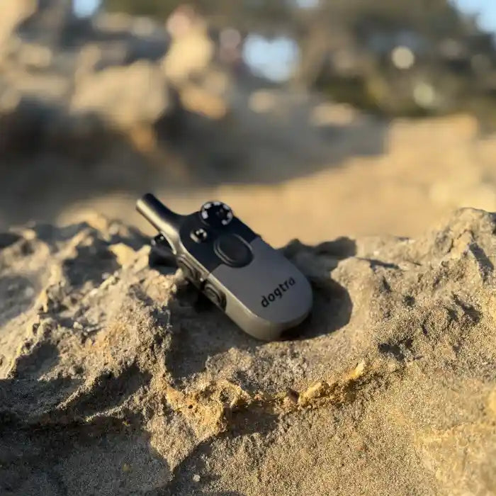 Is the Dogtra 200iQ Waterproof?
