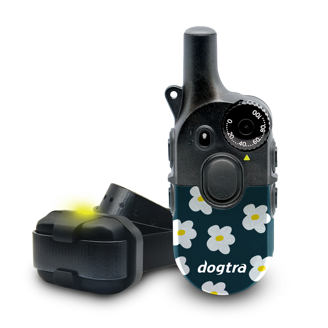 200iQ FLOWER POWER