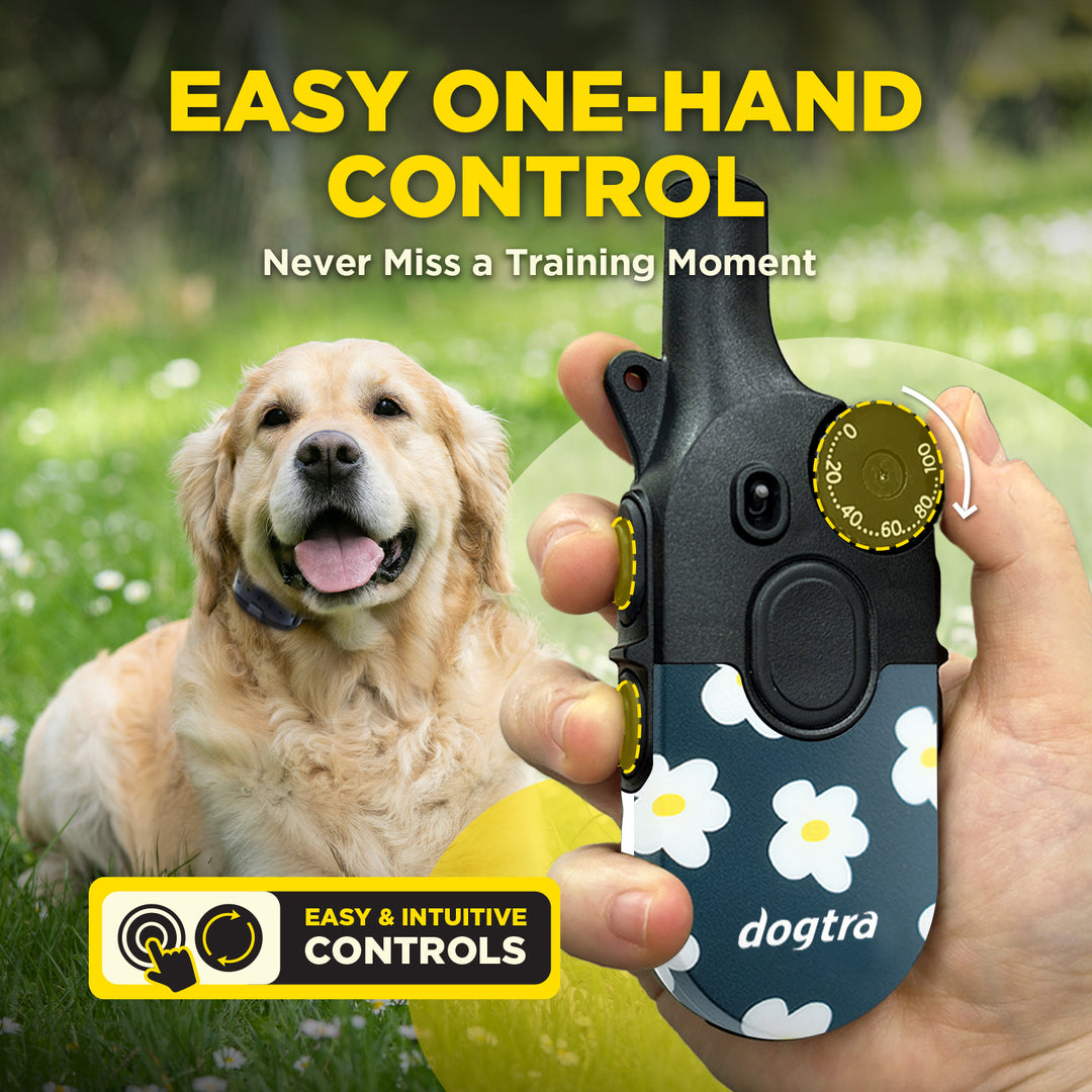 200iQ FLOWER POWER + FREE DOGTRA TREAT BAG