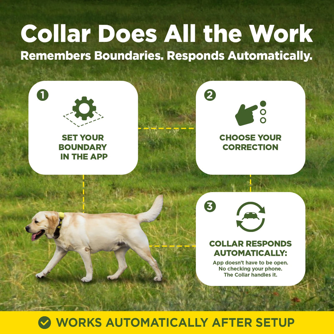 DOGTRA GPS FENCE