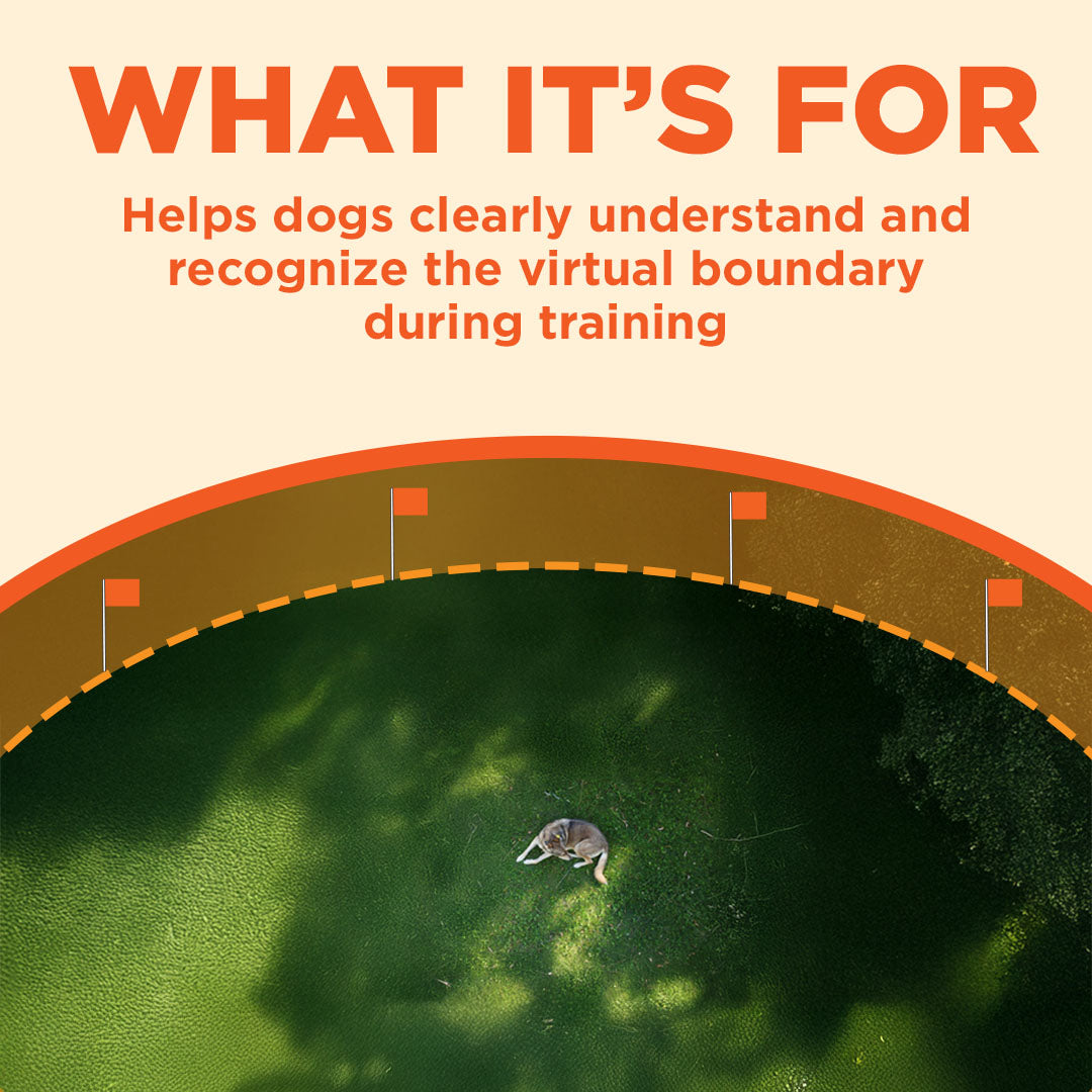 Orange flags on thin poles marking a circular boundary around a dog on grass.